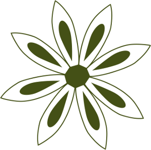 anis_v3_logo